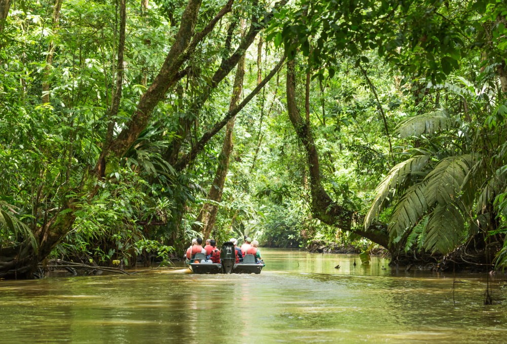 Ein Traum aus Wald und Wasser - Tortuguero Nationalpark